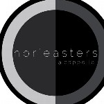 The Nor'easters profile picture