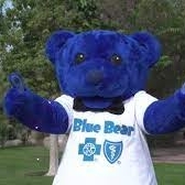 Blue Bear's Wellness Walkers profile picture