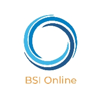 Team BSI Online profile picture