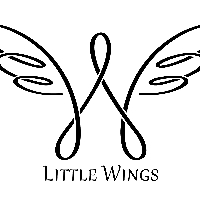 Little Wings profile picture