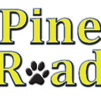 Pine Road Pajama Day 2023 profile picture