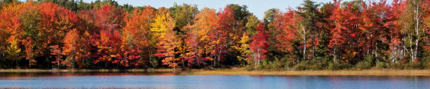 Ducks Unlimited Canada