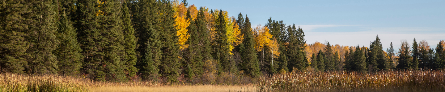 Ducks Unlimited Canada