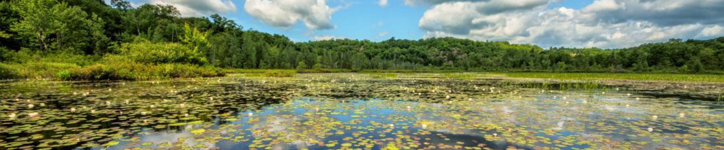 Ducks Unlimited Canada