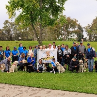 Labs Live Top Dog Team: OC Guide Dogs profile picture