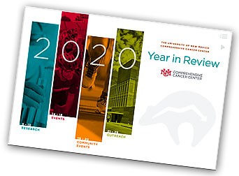 2020 Year in Review PDF cover