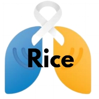 ALCSI Rice Chapter profile picture