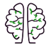 Amity Neurology Logo