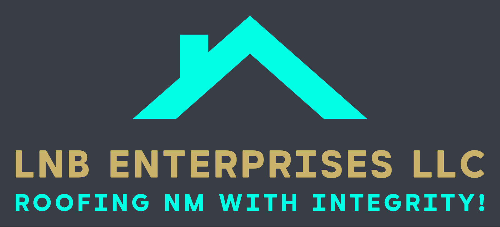 LNB Enterprises LLC logo
