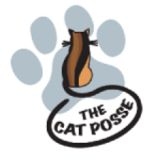 Team Cat Posse profile picture