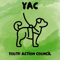 YAC profile picture